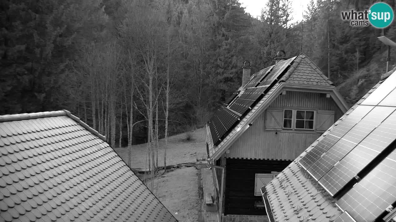 Webcam Lukanja – Pohorje houses a Water village