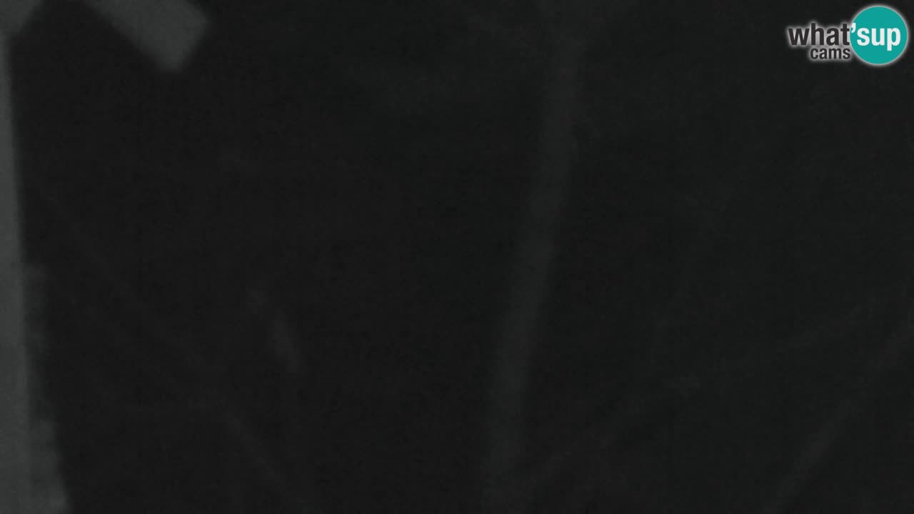 Webcam Lukanja – Pohorje houses a Water village