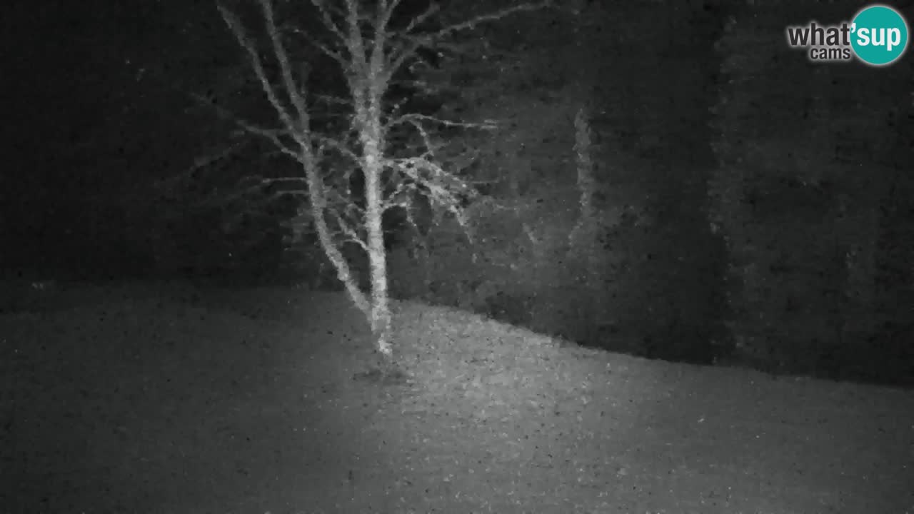 Webcam Lukanja – Pohorje houses a Water village