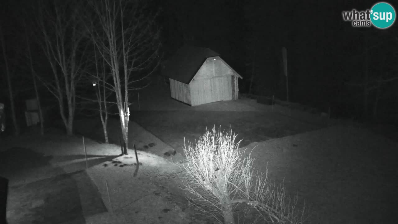 Webcam Lukanja – Water Village | Pohorje Houses