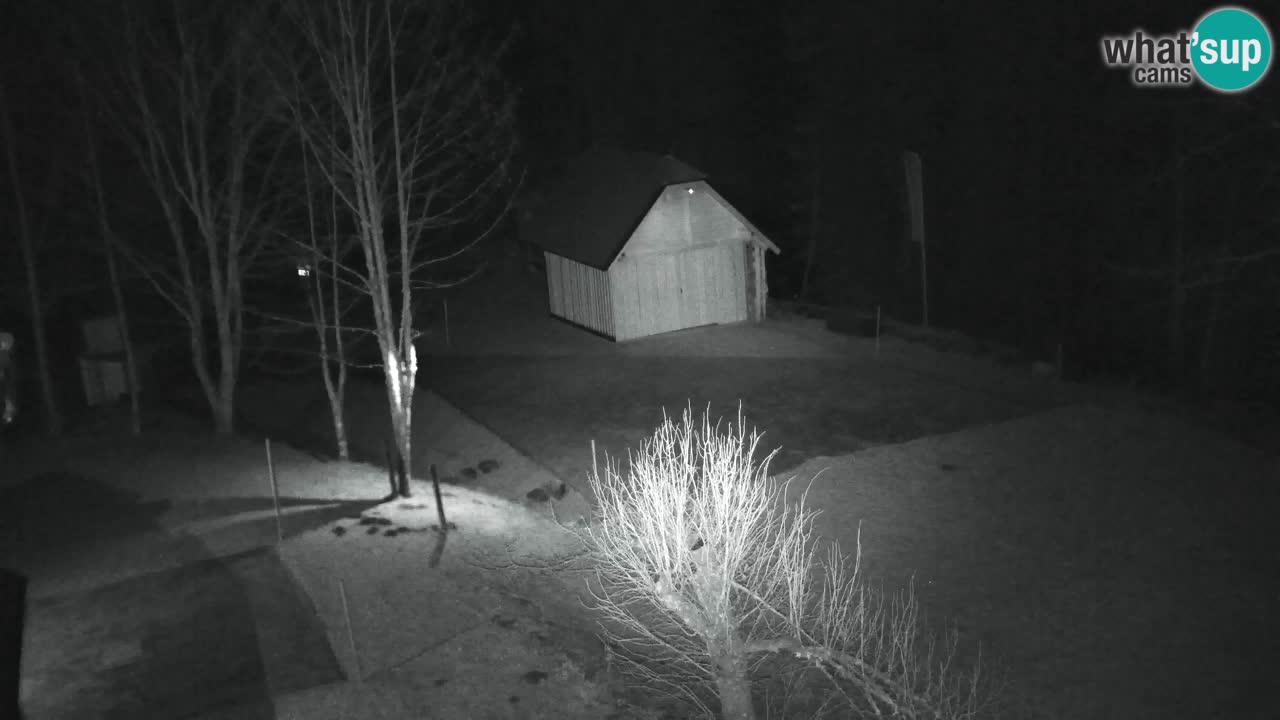 Webcam Lukanja – Water Village | Pohorje Houses