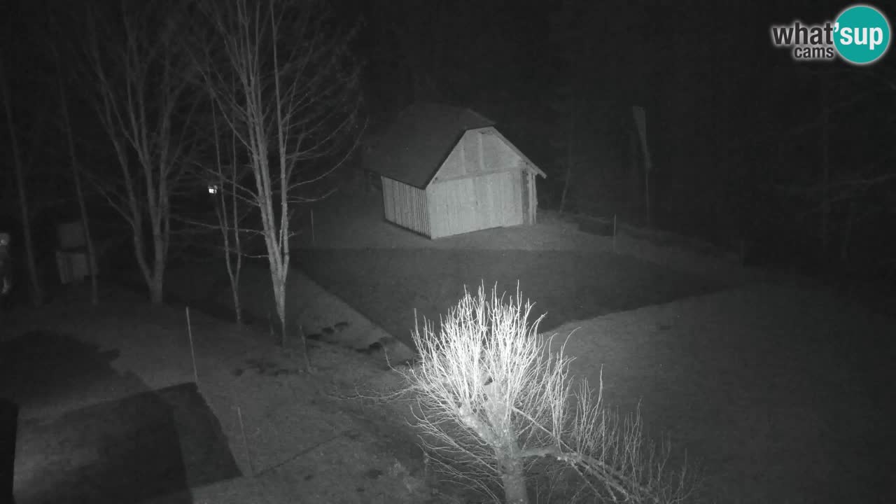 Webcam Lukanja – Water Village | Pohorje Houses