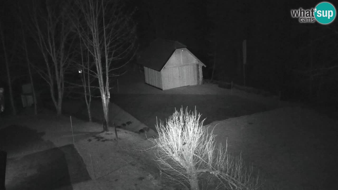 Webcam Lukanja – Pohorje houses a Water village