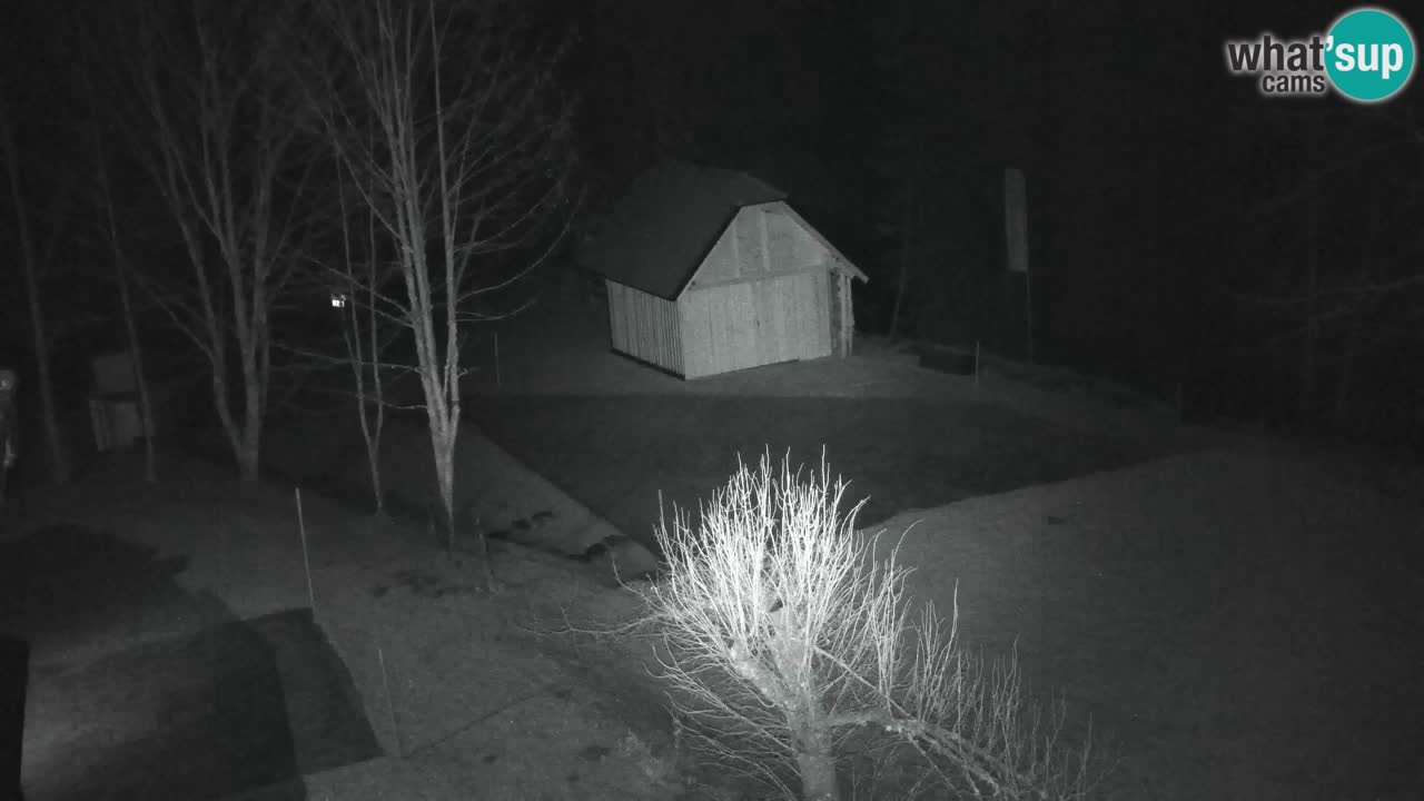 Webcam Lukanja – Water Village | Pohorje Houses