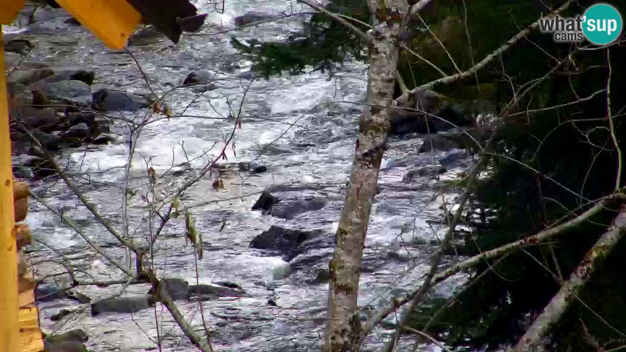 Webcam Lukanja – Water Village | Pohorje Houses