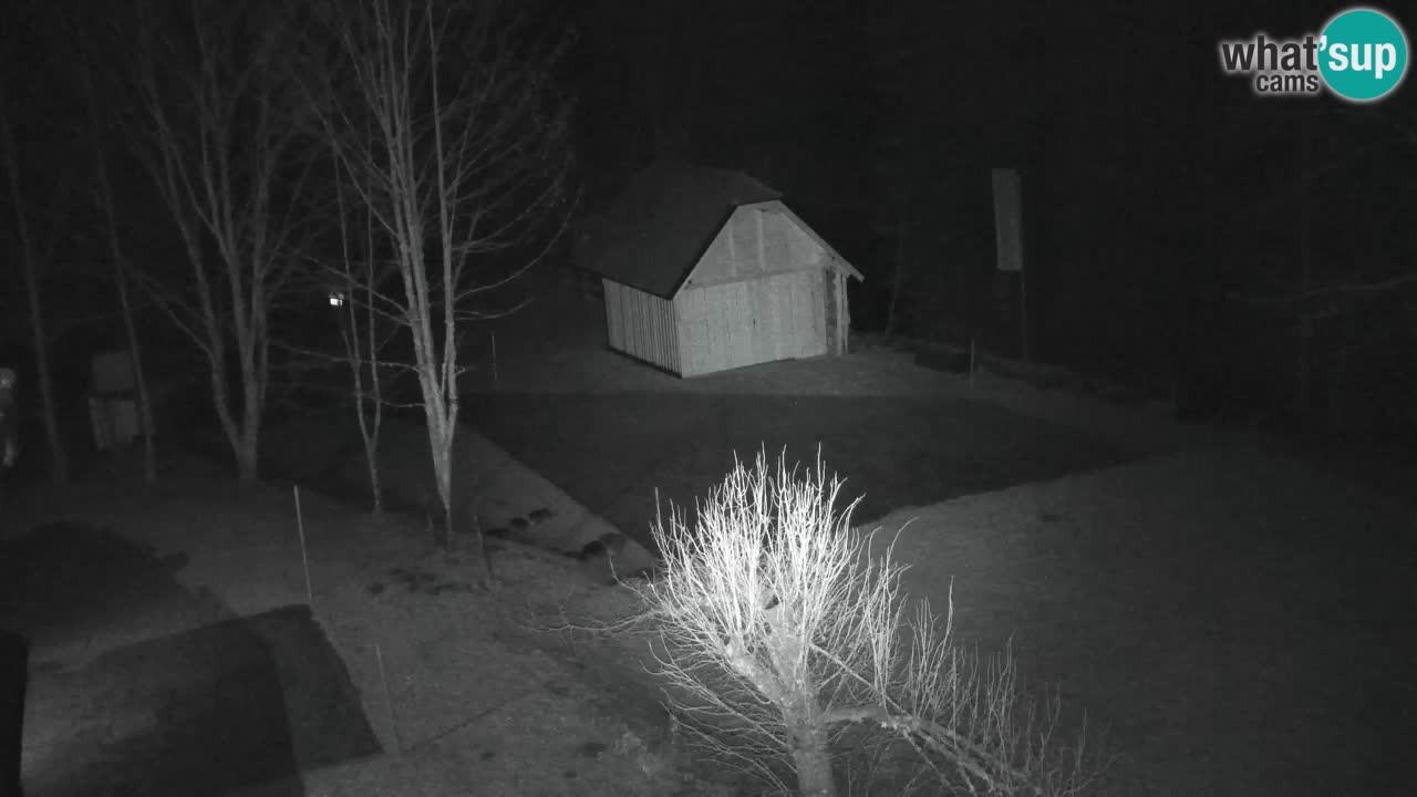 Webcam Lukanja – Pohorje houses a Water village