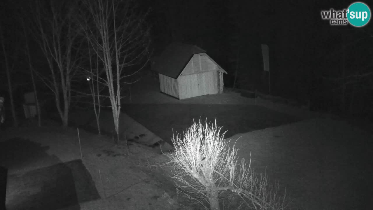 Webcam Lukanja – Pohorje houses a Water village