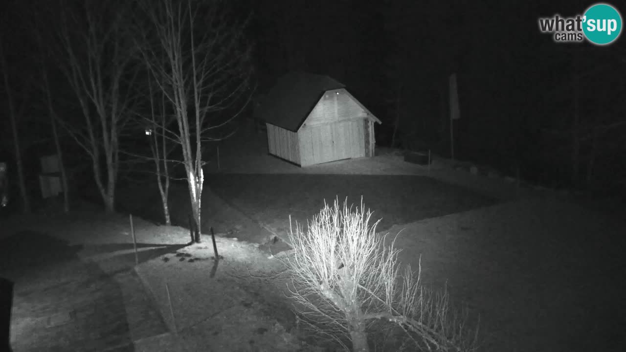 Webcam Lukanja – Pohorje houses a Water village