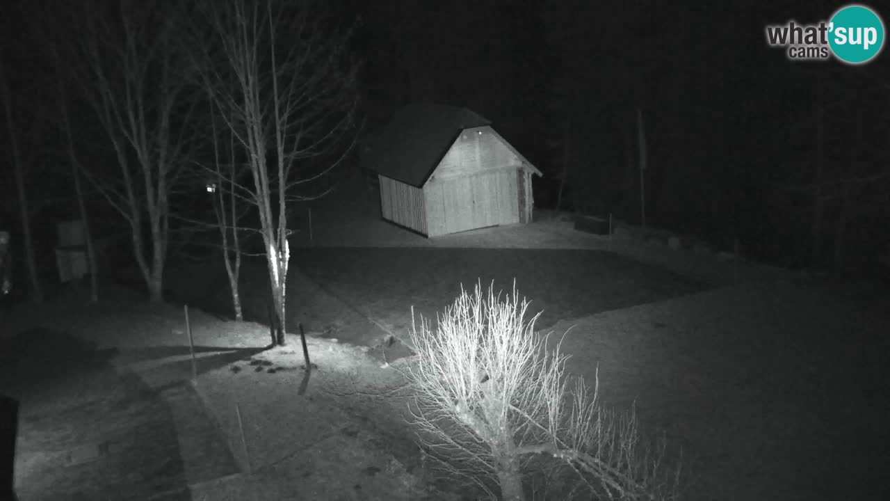 Webcam Lukanja – Pohorje houses a Water village