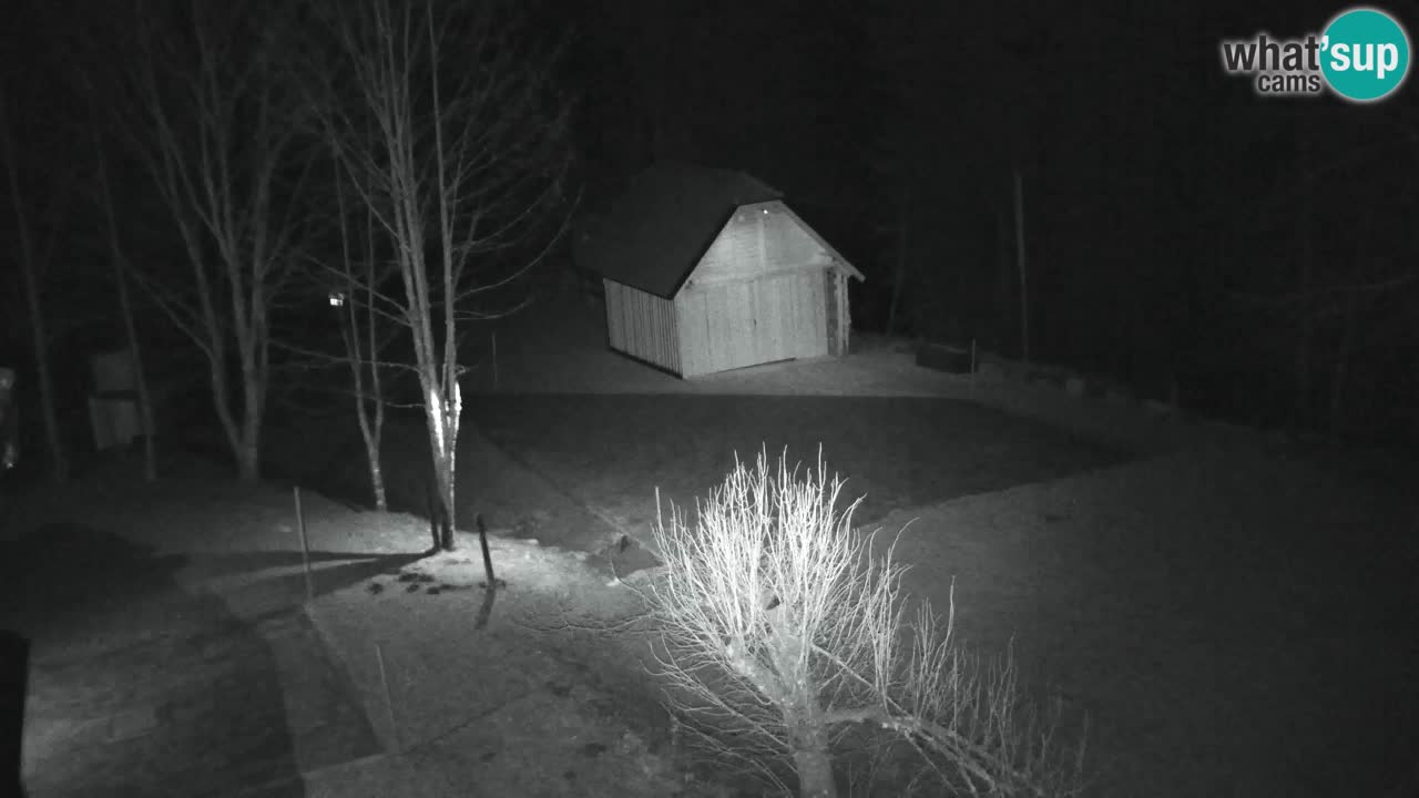 Webcam Lukanja – Water Village | Pohorje Houses