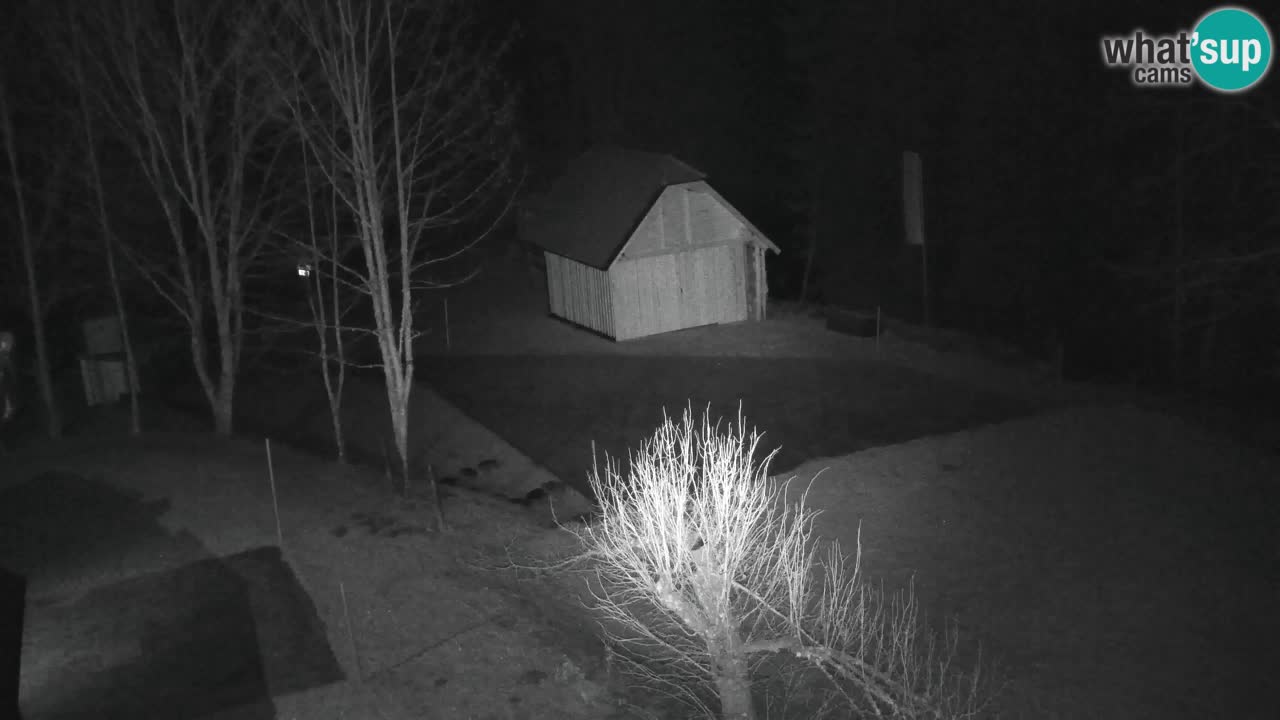 Webcam Lukanja – Water Village | Pohorje Houses