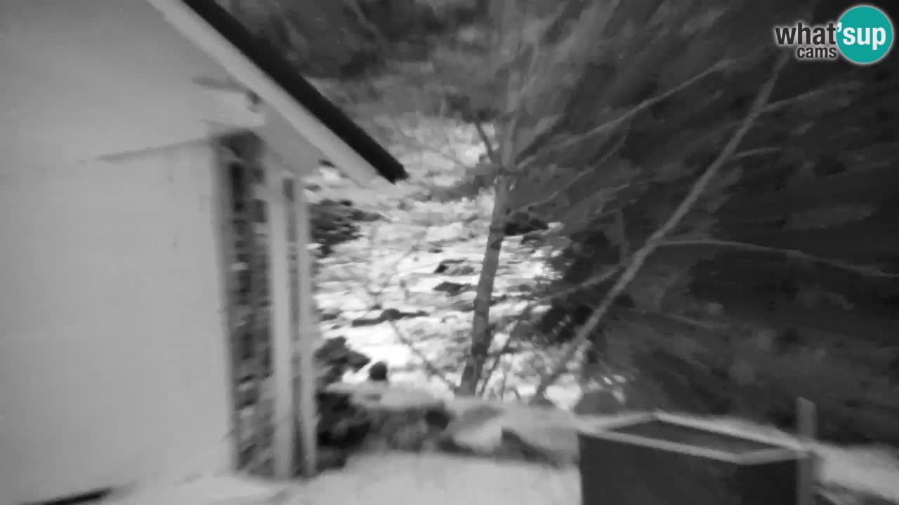 Web kamera Lukanja – Water Village | Pohorje Houses