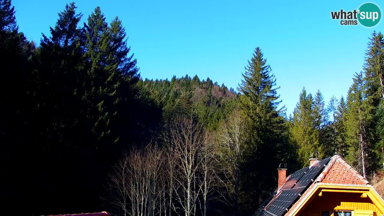 Spletna kamera Lukanja – Water Village | Pohorje Houses