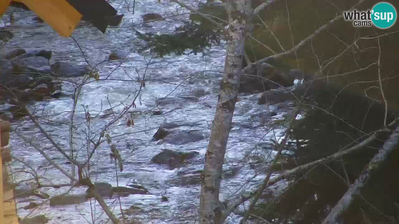 Webcam Lukanja – Pohorje houses a Water village