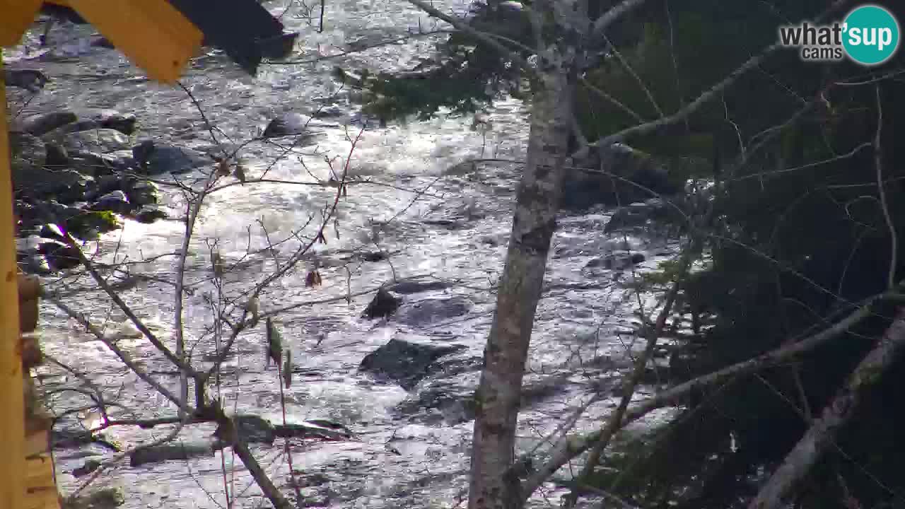 Spletna kamera Lukanja – Water Village | Pohorje Houses