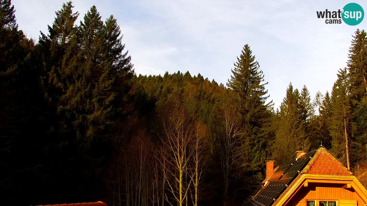 Web kamera Lukanja – Water Village | Pohorje Houses