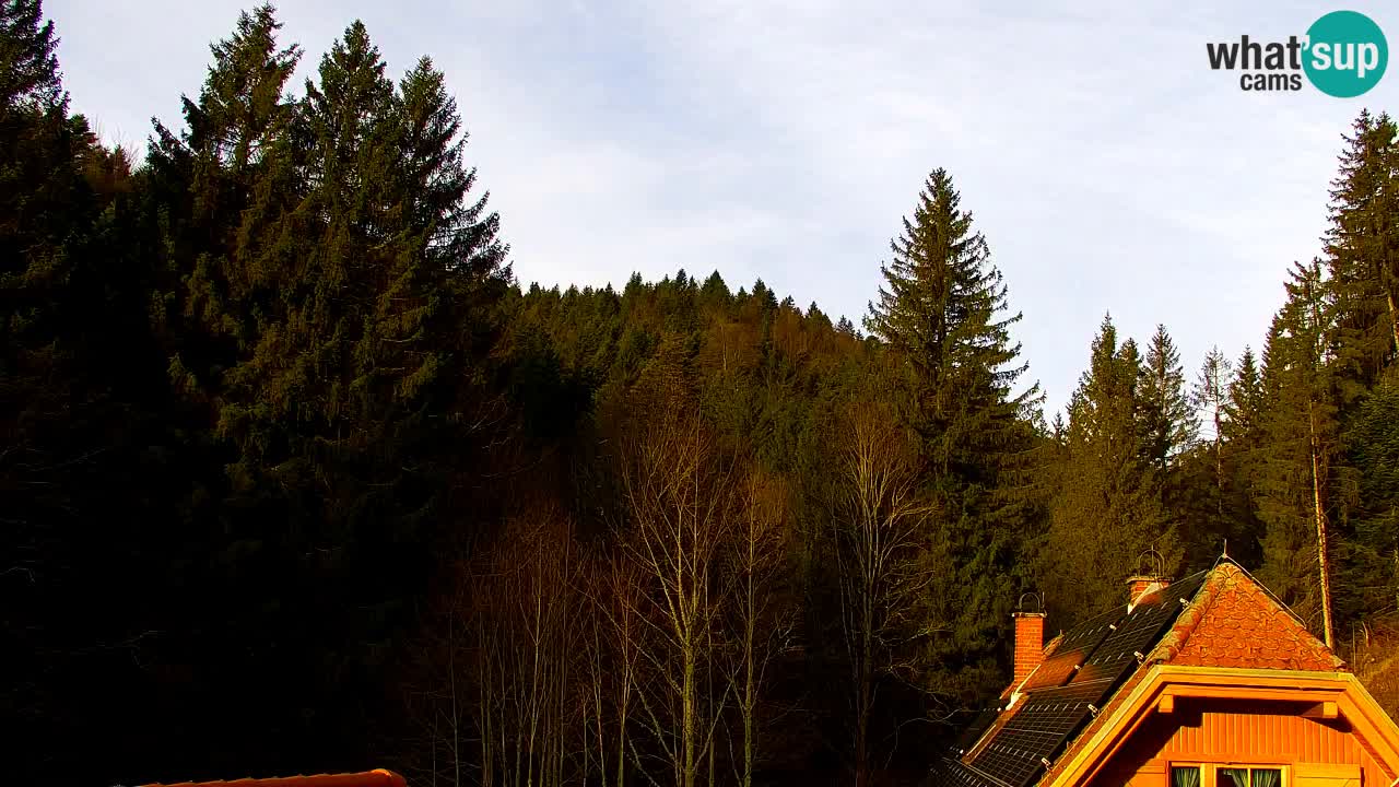 Webcam Lukanja – Water Village | Pohorje Houses