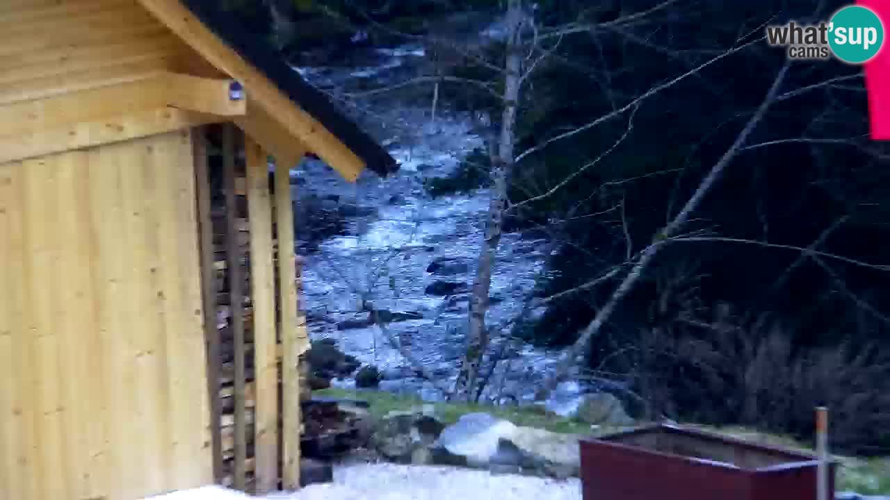 Spletna kamera Lukanja – Water Village | Pohorje Houses