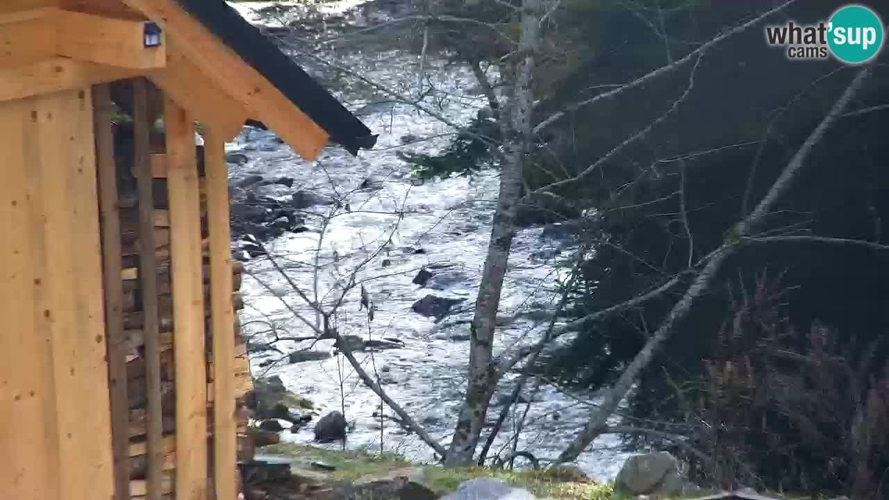 Spletna kamera Lukanja – Water Village | Pohorje Houses