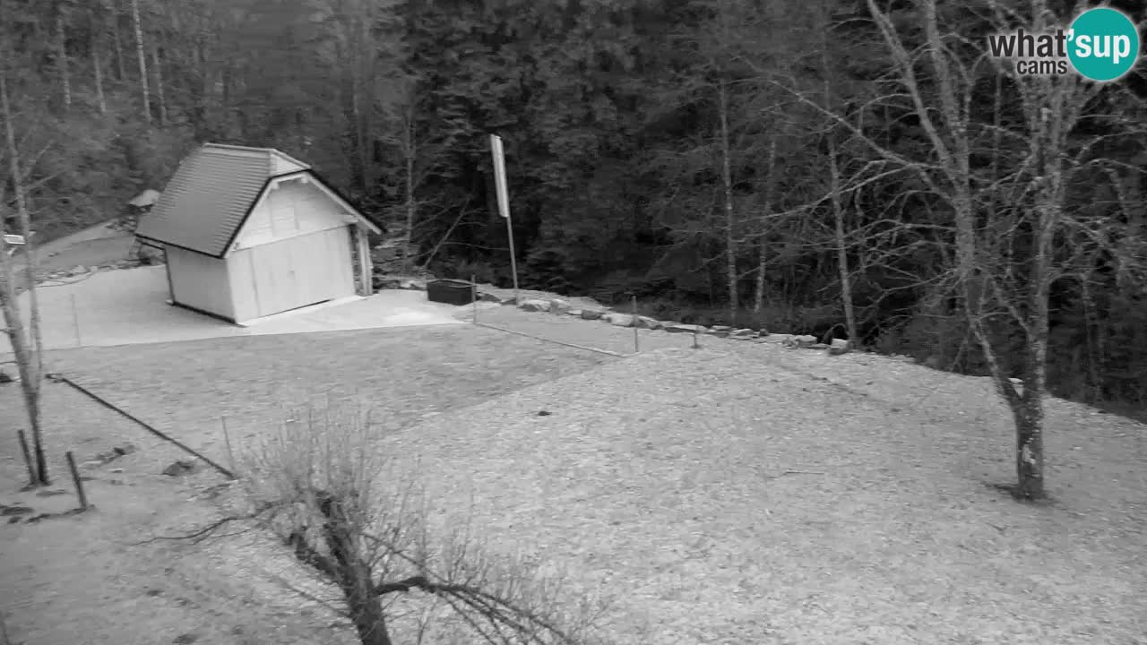 Webcam Lukanja – Water Village | Pohorje Houses