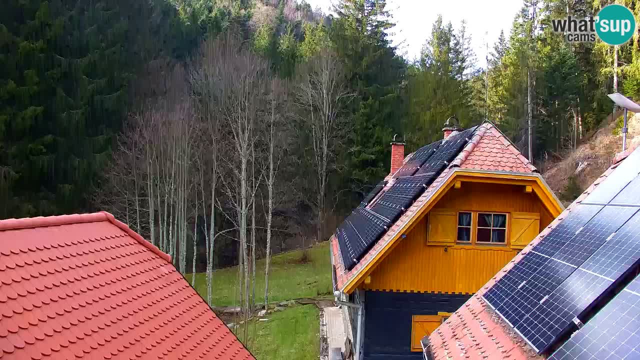 Spletna kamera Lukanja – Water Village | Pohorje Houses