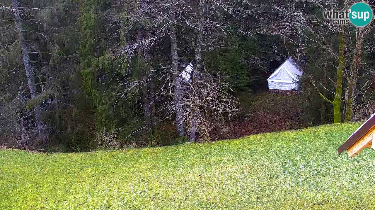 Spletna kamera Lukanja – Water Village | Pohorje Houses