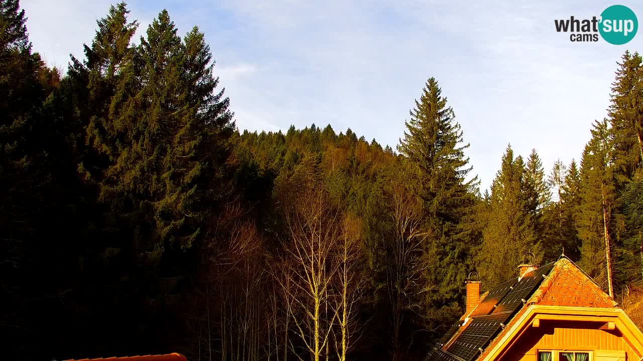 Webcam Lukanja – Water Village | Pohorje Houses