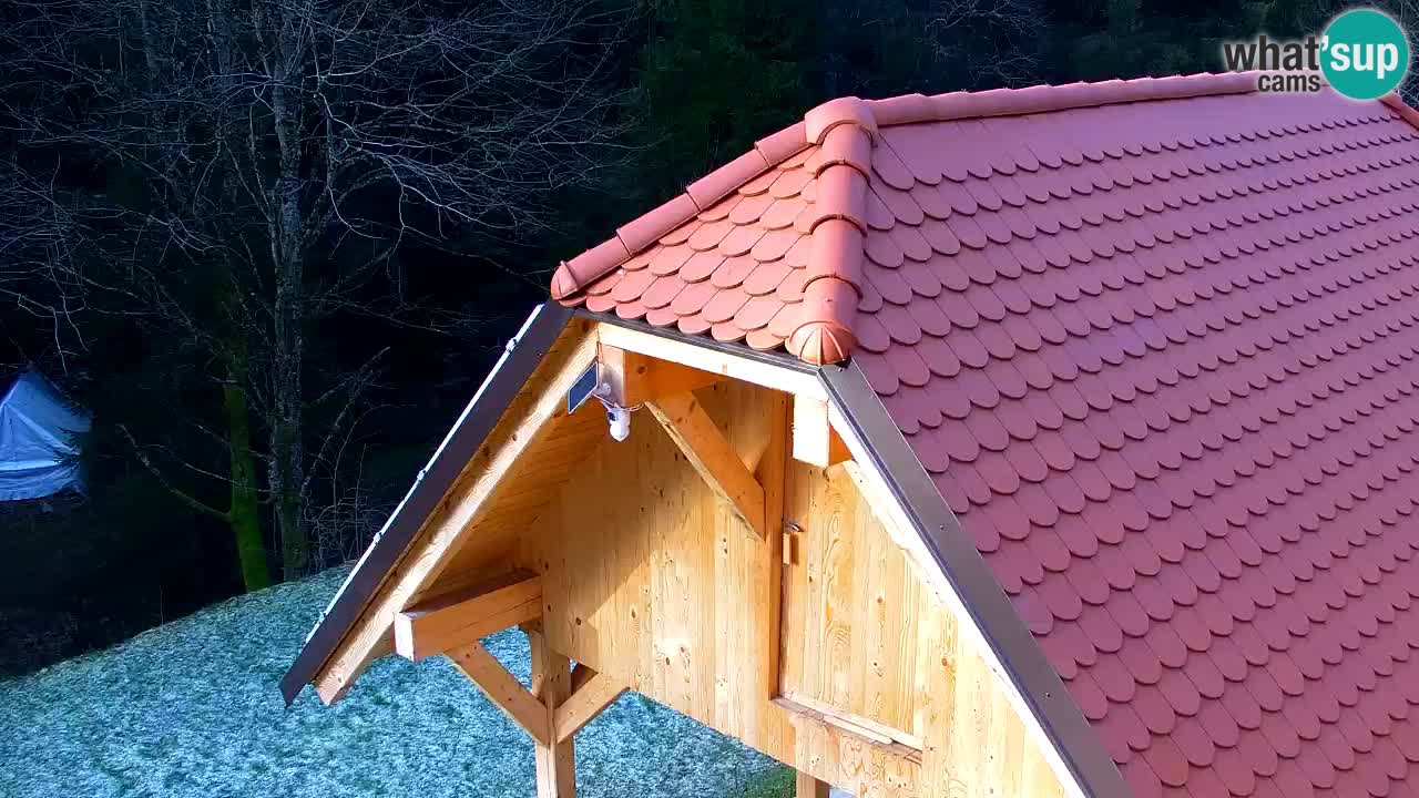 Webcam Lukanja – Pohorje houses a Water village