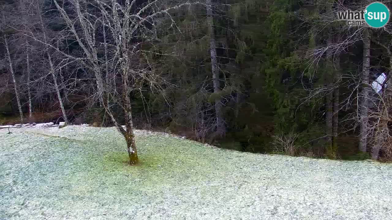 Webcam Lukanja – Pohorje houses a Water village