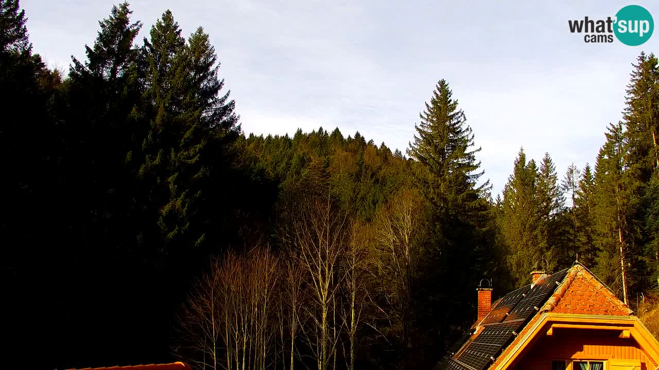 Webcam Lukanja – Water Village | Pohorje Houses