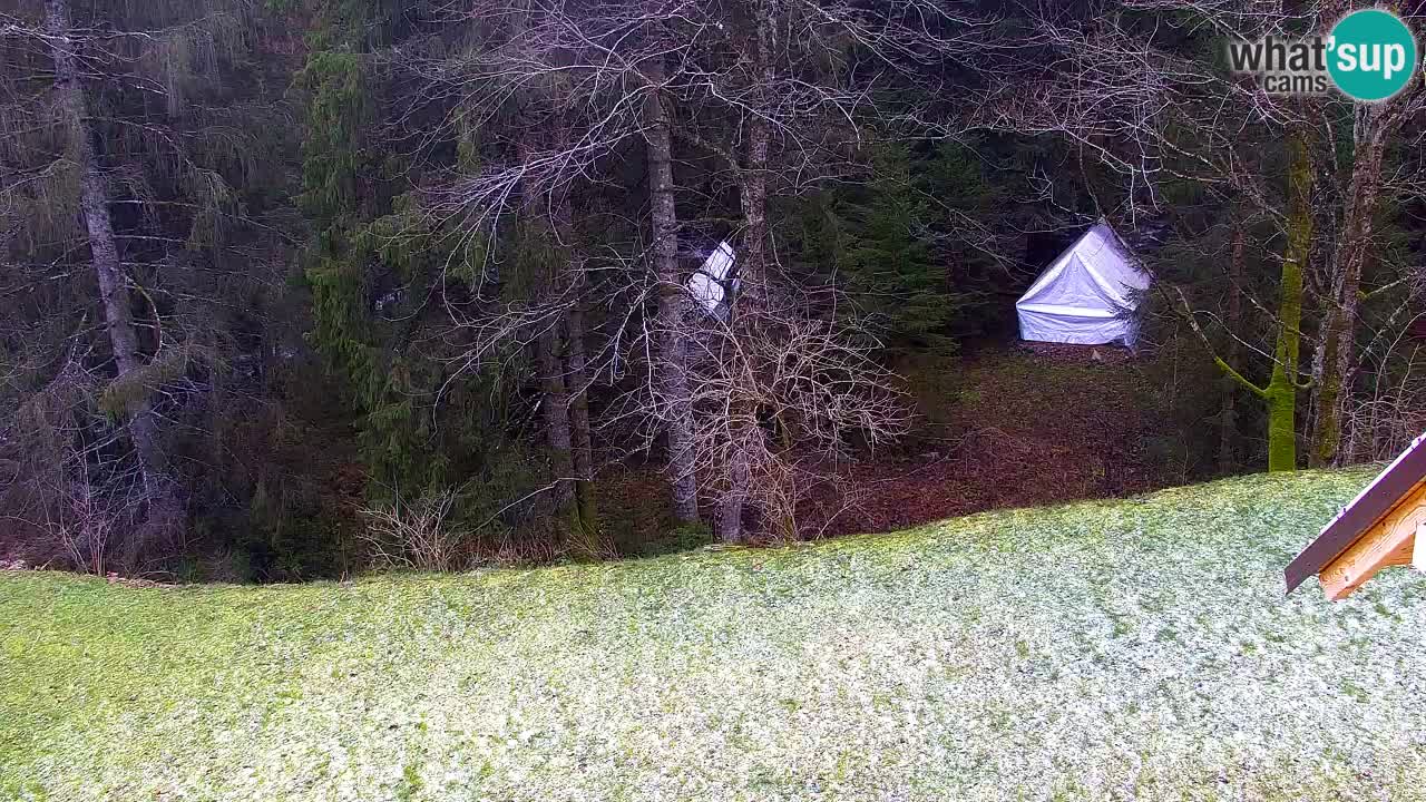 Webcam Lukanja – Pohorje houses a Water village