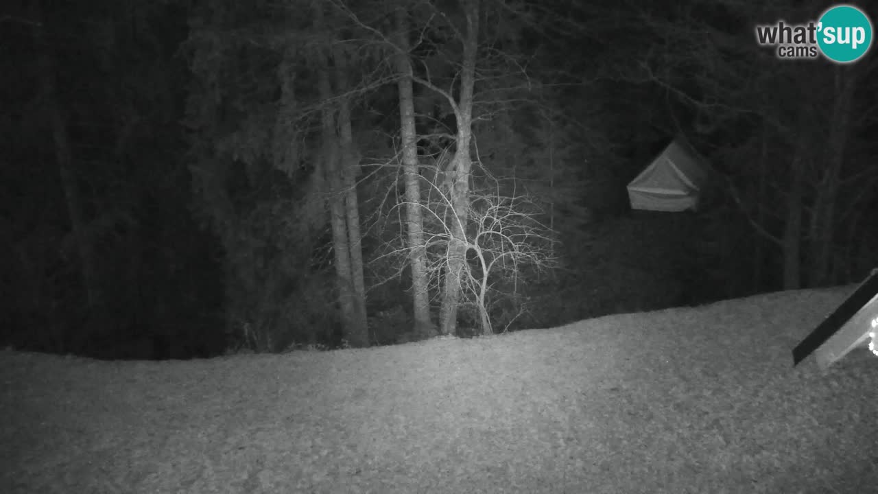 Webcam Lukanja – Pohorje houses a Water village