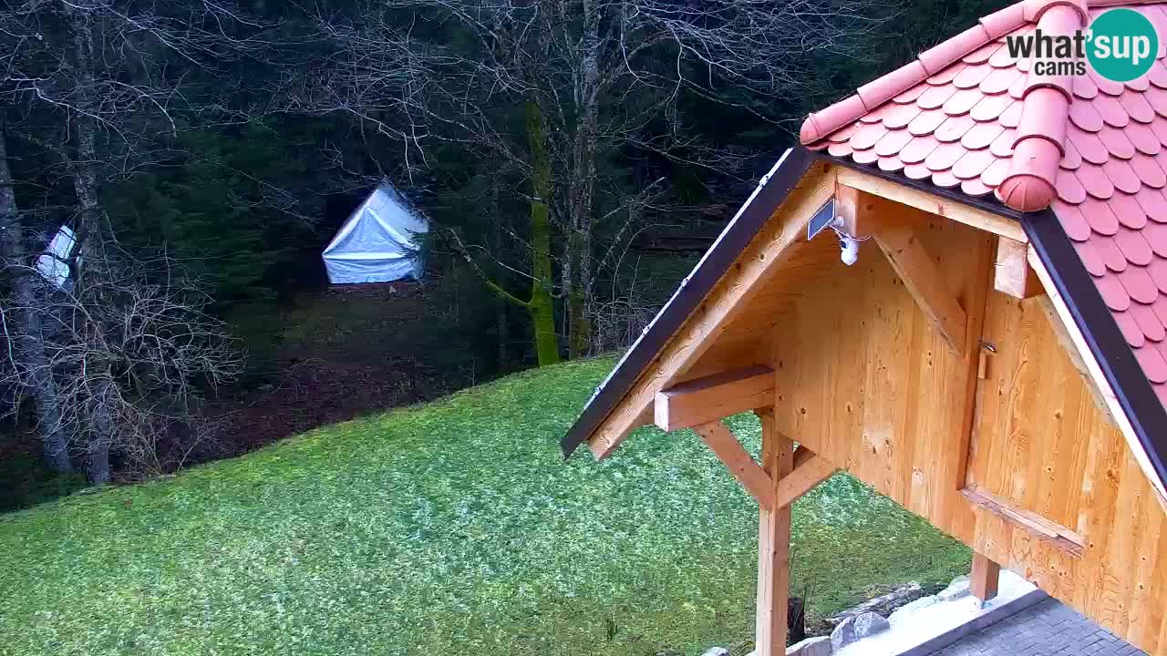 Web kamera Lukanja – Water Village | Pohorje Houses