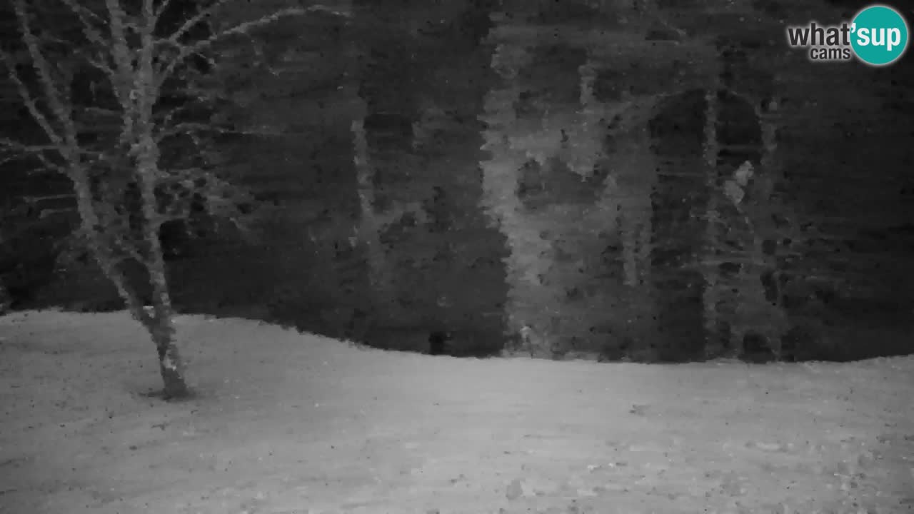 Webcam Lukanja – Pohorje houses a Water village