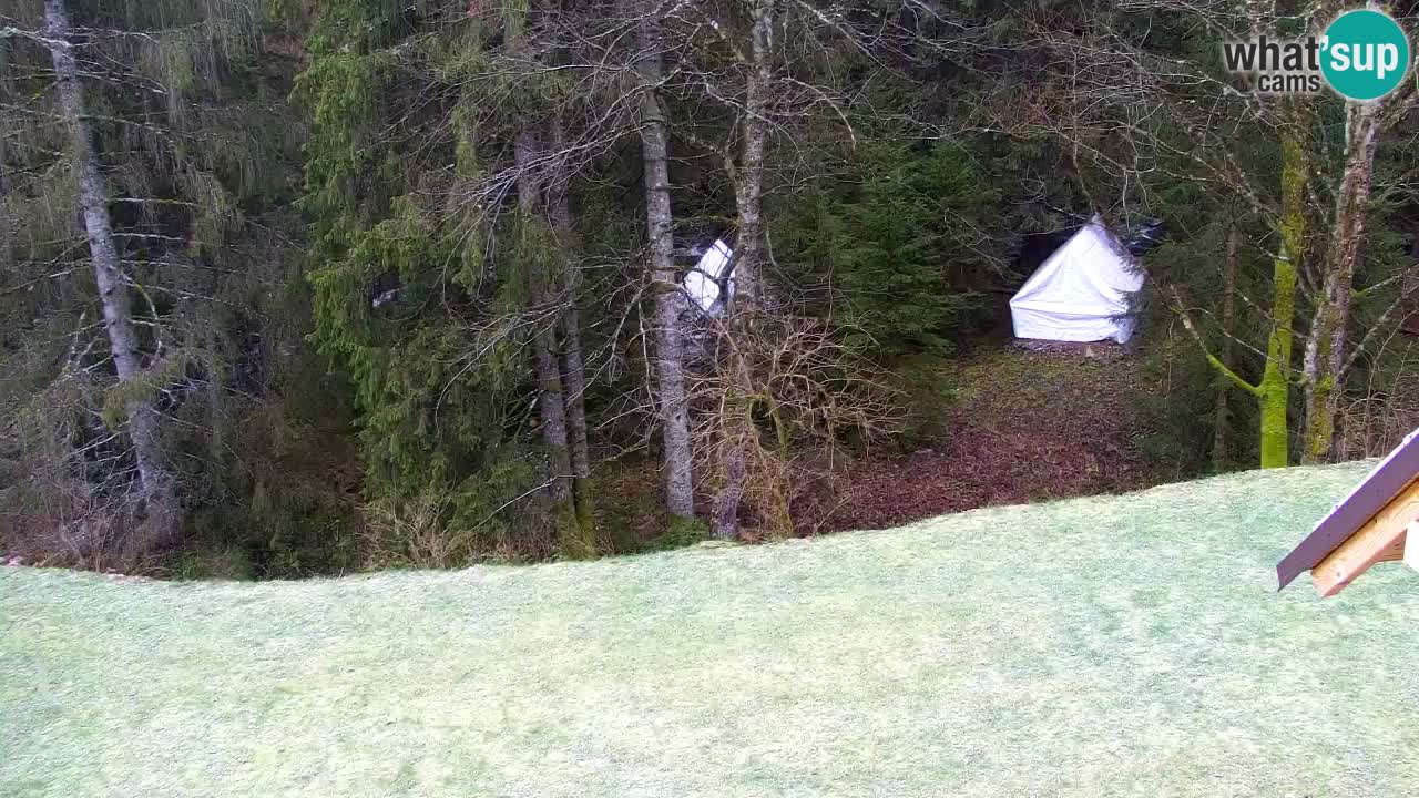 Webcam Lukanja – Pohorje houses a Water village