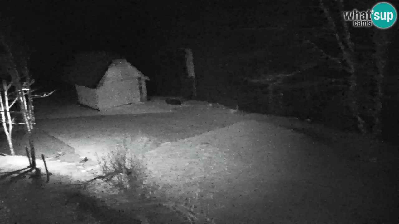 Webcam Lukanja – Pohorje houses a Water village