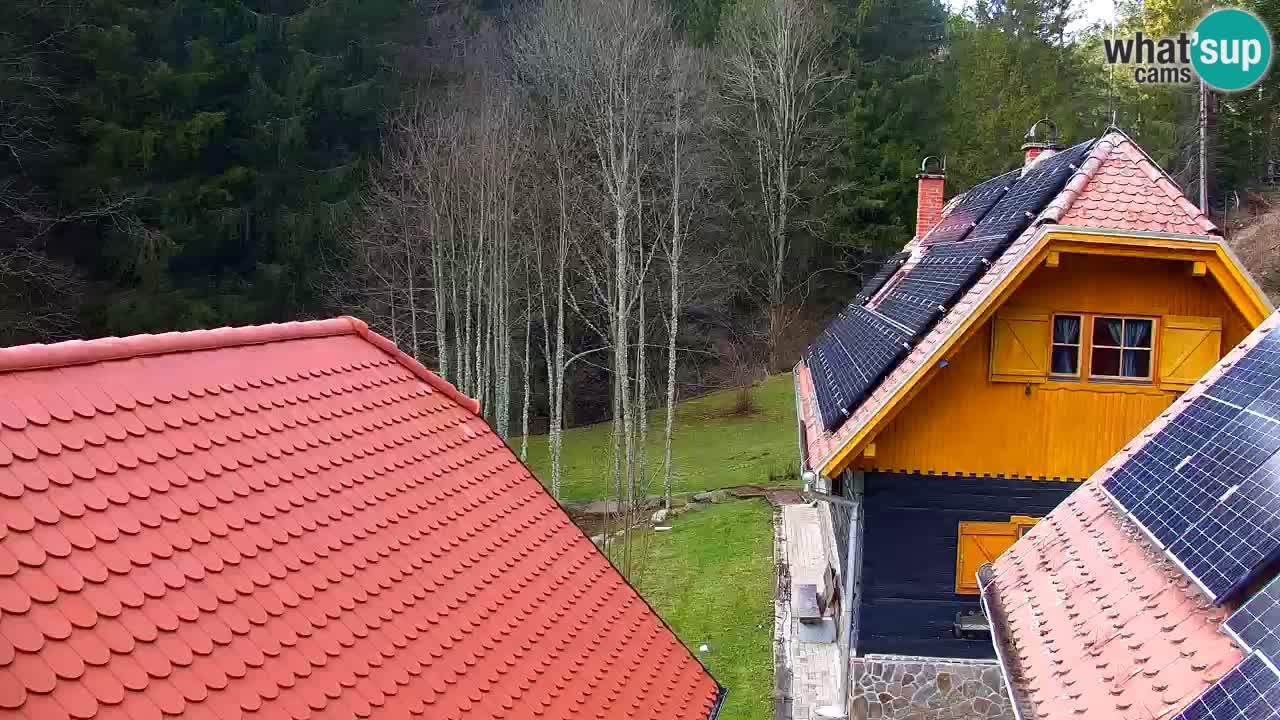 Spletna kamera Lukanja – Water Village | Pohorje Houses