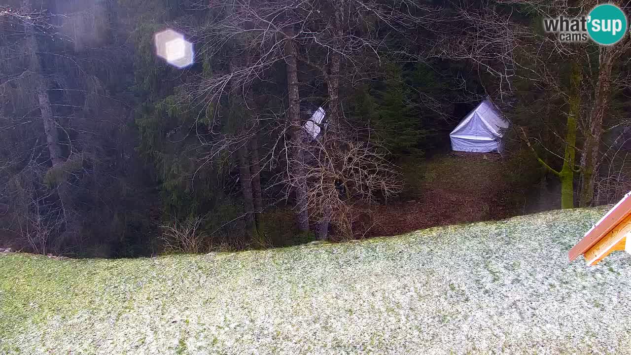 Web kamera Lukanja – Water Village | Pohorje Houses