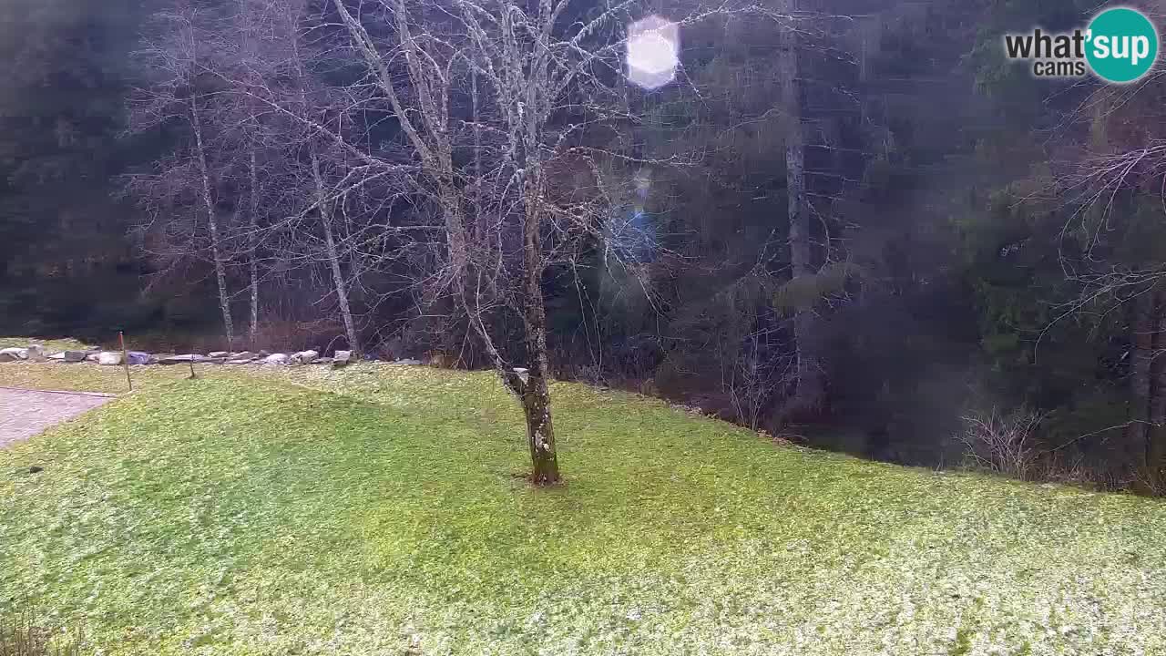 Webcam Lukanja – Pohorje houses a Water village