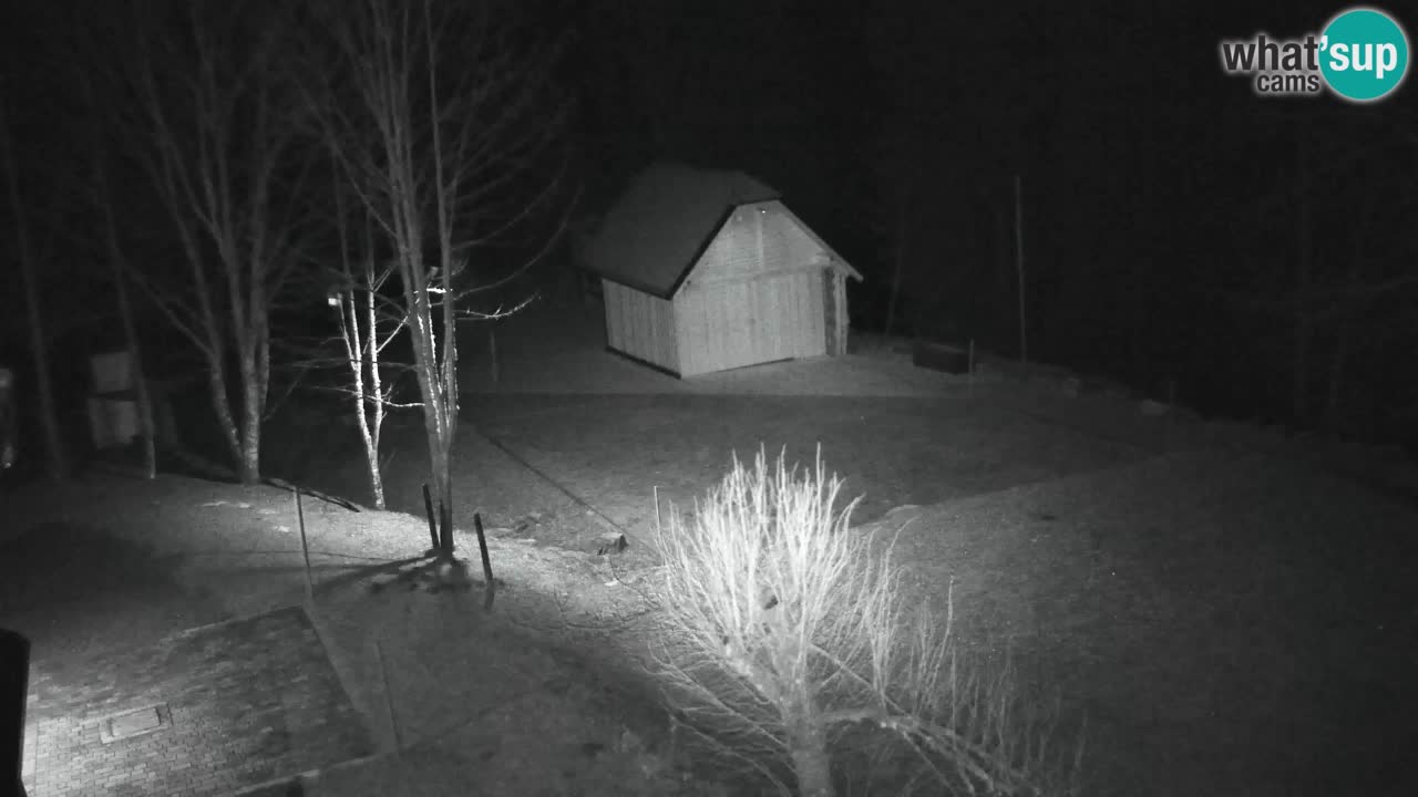 Webcam Lukanja – Pohorje houses a Water village