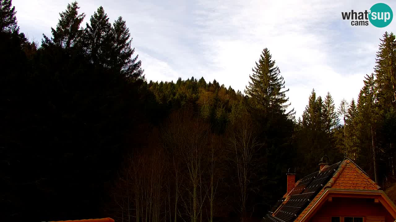 Webcam Lukanja – Pohorje houses a Water village