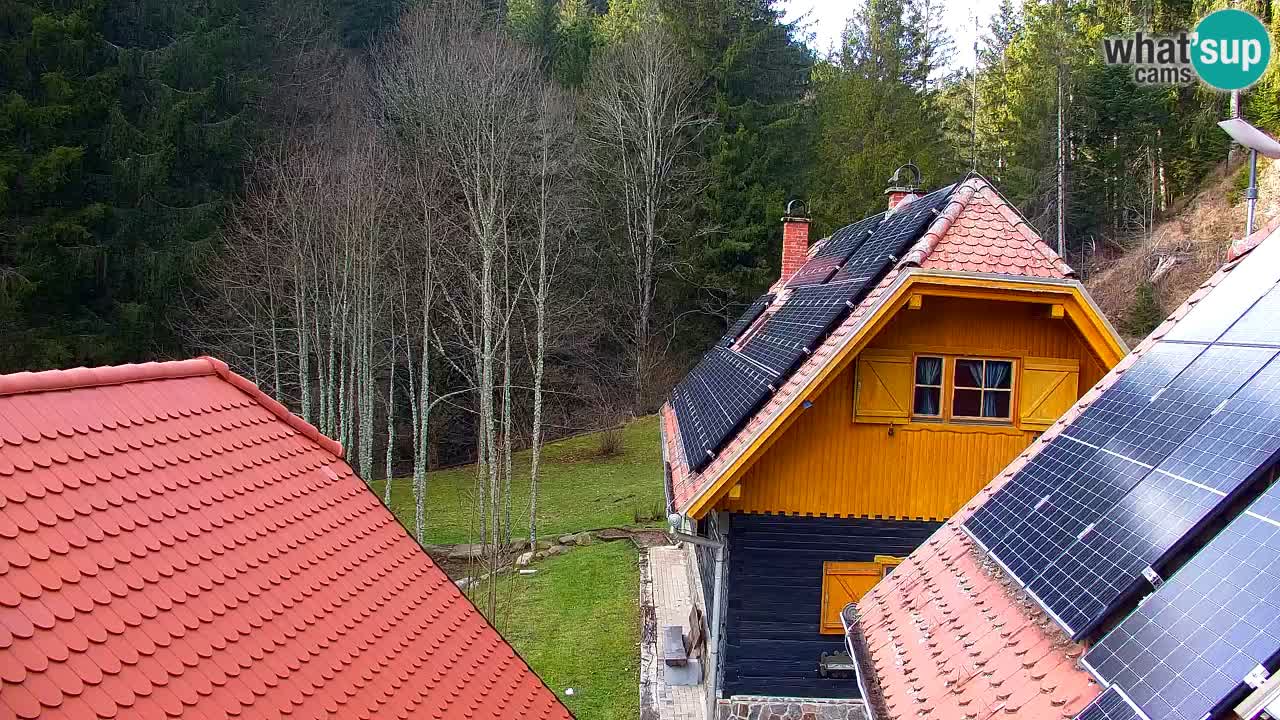 Web kamera Lukanja – Water Village | Pohorje Houses