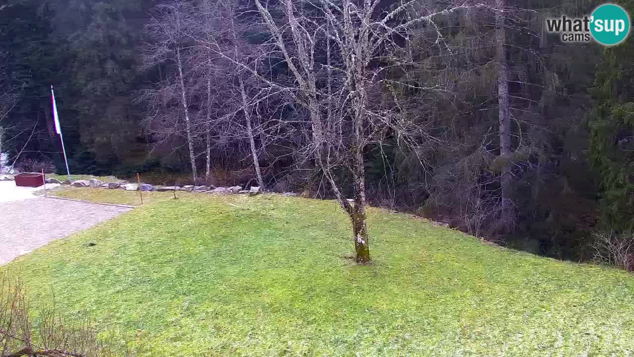 Webcam Lukanja – Water Village | Pohorje Houses