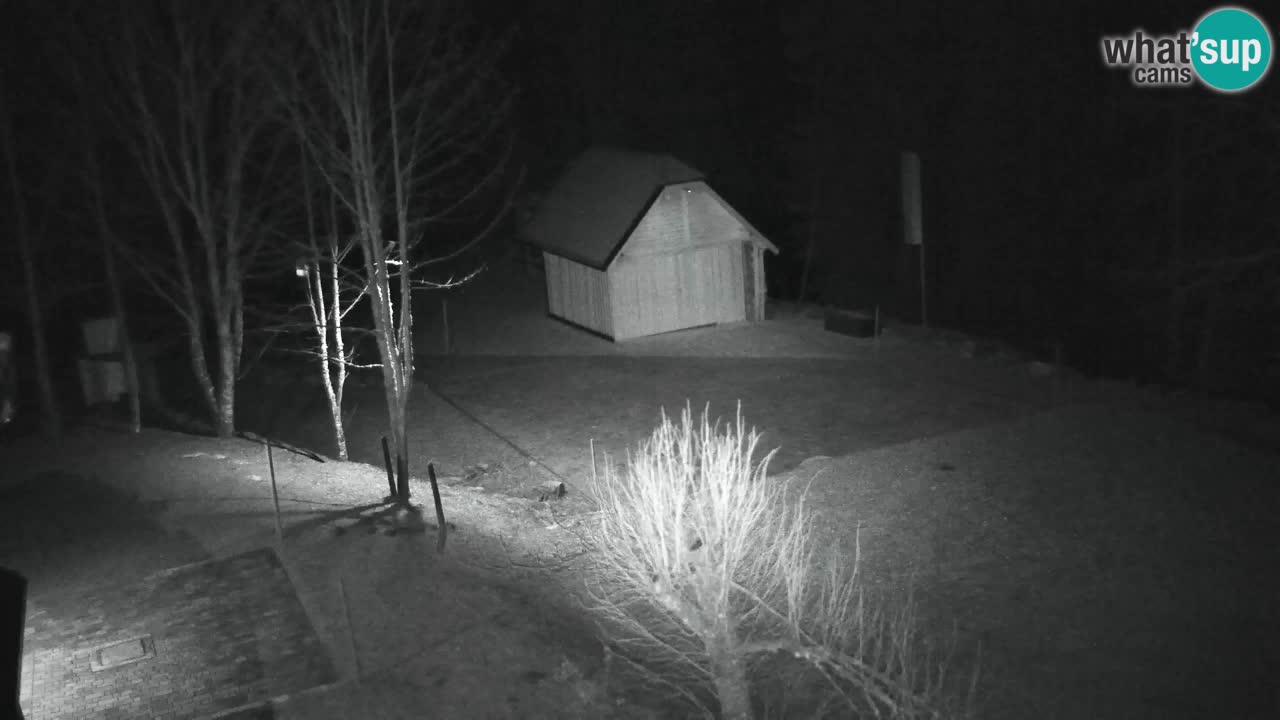 Webcam Lukanja – Water Village | Pohorje Houses