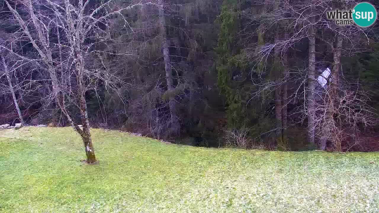 Webcam Lukanja – Water Village | Pohorje Houses