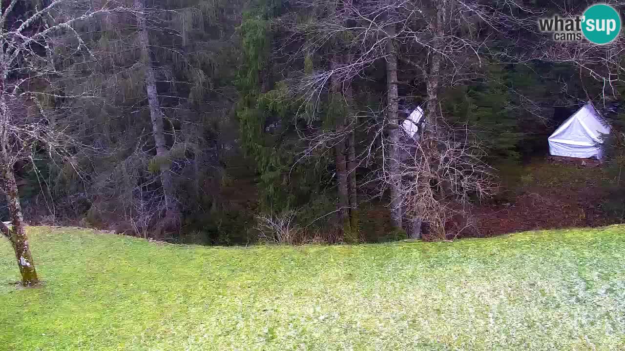 Web kamera Lukanja – Water Village | Pohorje Houses