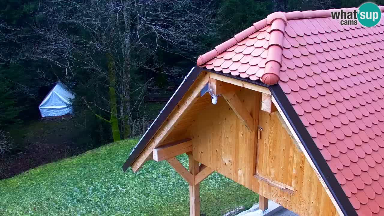 Webcam Lukanja – Water Village | Pohorje Houses