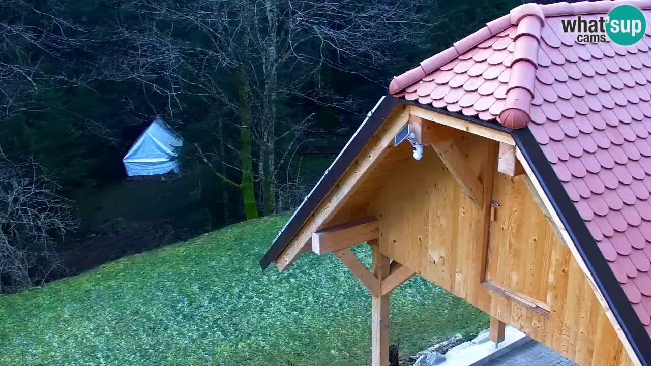 Spletna kamera Lukanja – Water Village | Pohorje Houses