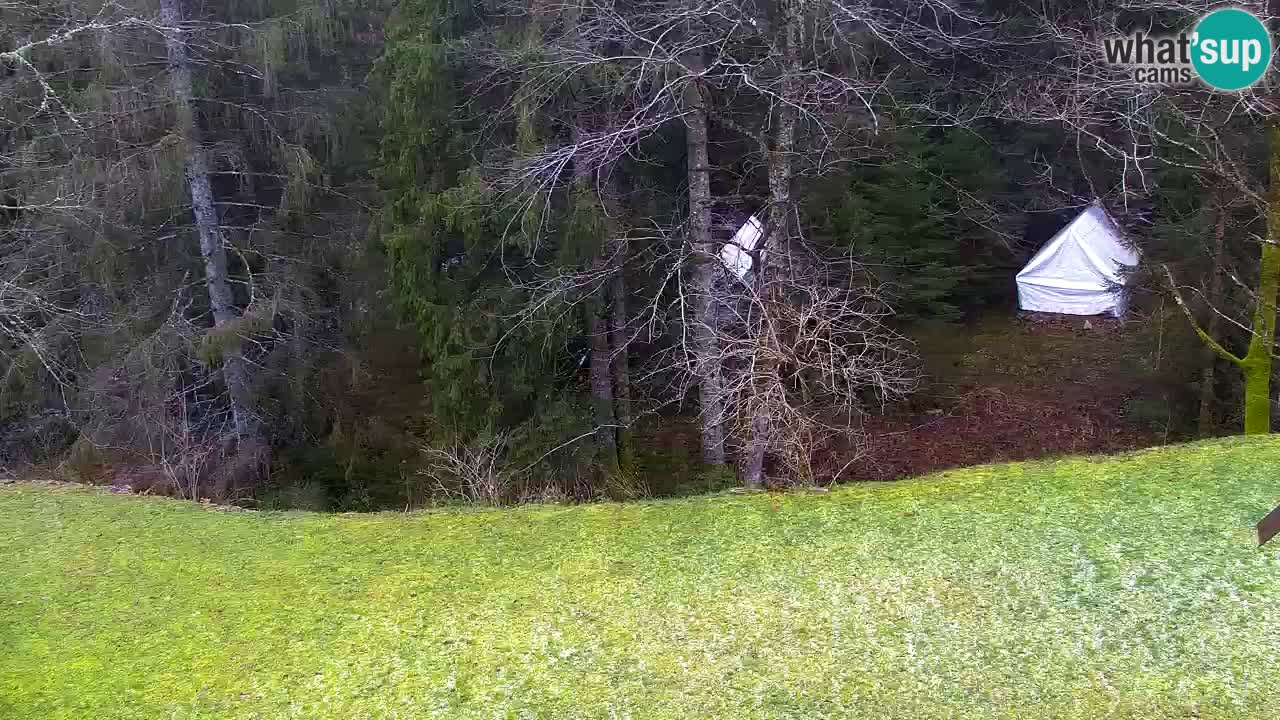 Webcam Lukanja – Water Village | Pohorje Houses