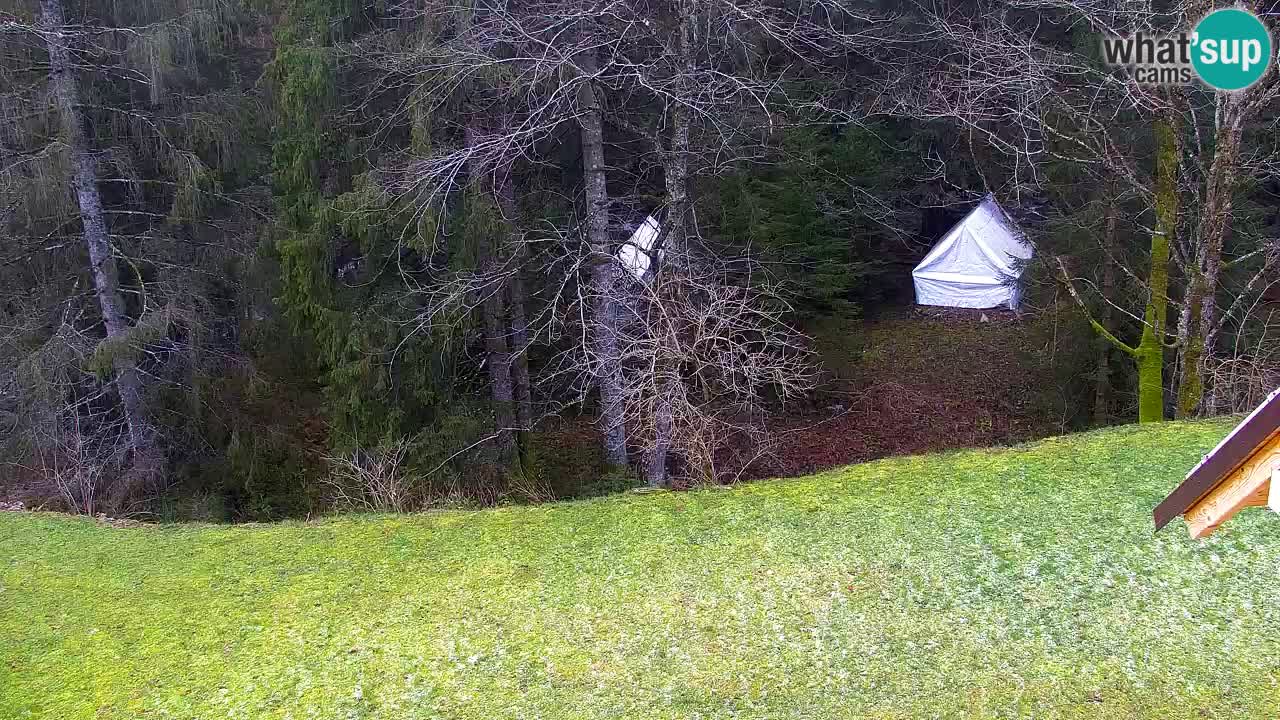 Webcam Lukanja – Pohorje houses a Water village